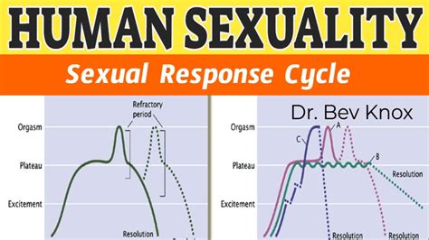 why do legs shake during sex|Sexual Response Cycle: What Happens in the Female .